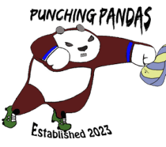 Punching Pandas Balance Sheet